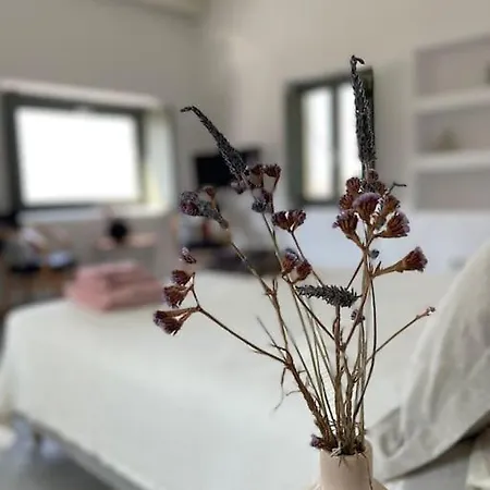 Dream 1 ολόκληρος χώρος με πισίνα Villa *