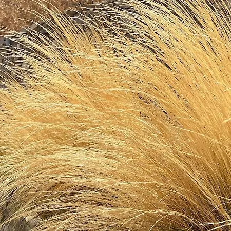 Villa Dream 1 ολόκληρος χώρος με πισίνα *