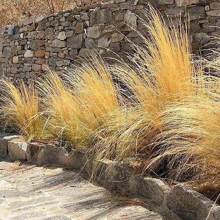 Dream 1 ολόκληρος χώρος με πισίνα * Páros