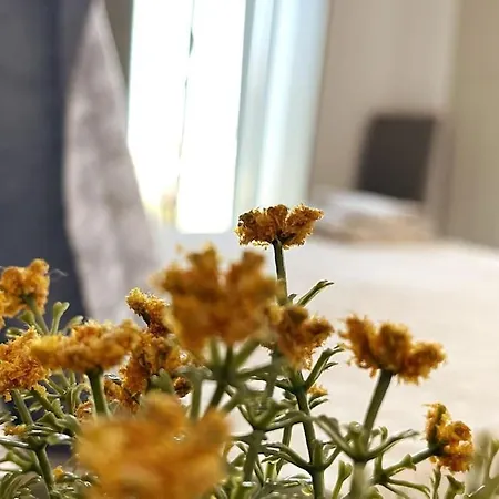 Dream 1 ολόκληρος χώρος με πισίνα Parikia (Paros)