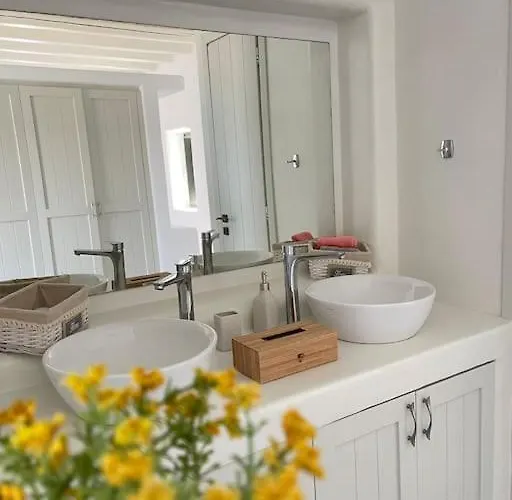 Dream 1 ολόκληρος χώρος με πισίνα Villa Páros