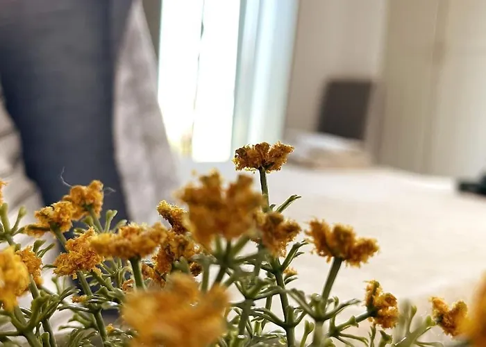 Dream 1 ολόκληρος χώρος με πισίνα Páros