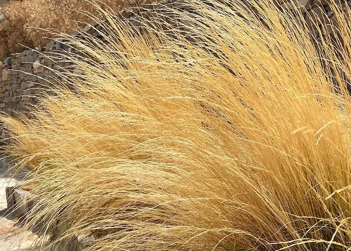 Villa Dream 1 ολόκληρος χώρος με πισίνα *