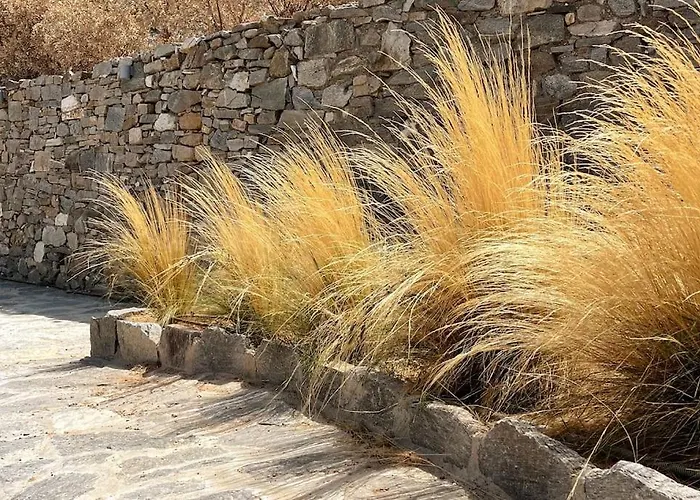 Dream 1 ολόκληρος χώρος με πισίνα * Páros